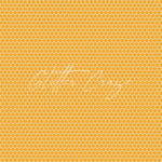 Sweet As Honey Adhesive Vinyl - 30 Design Options