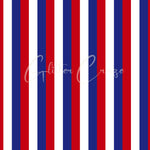 4th of July 12x12 vinyl sheets- 30 patterns