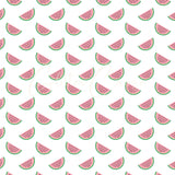 Watermelon Vinyl Collection- 12 Design options