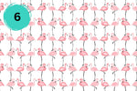 Flamingo Collection 12x12 Vinyl Sheets- 10 Designs Available