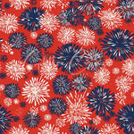 Fireworks 12x12 sheets - 10 Design Options