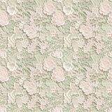 Sage Lace - 3 Design Options