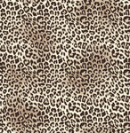 Cheetah - Adhesive Vinyl