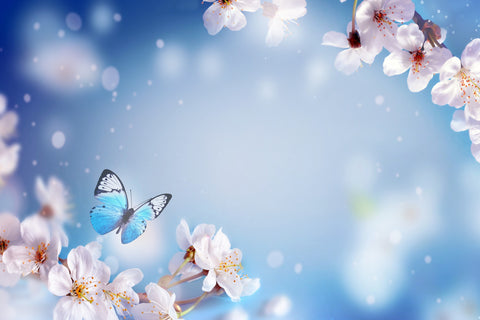 Cherry Blossom Butterfly - Adhesive Vinyl Wrap