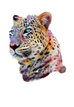Colorful Leopard - Adhesive Vinyl Decal