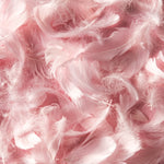 Pink Feathers - Adhesive Vinyl