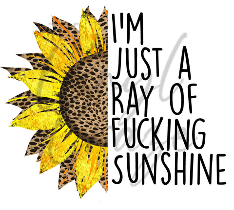 Ray of Freakin' Sunshine UV DTF Decal