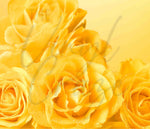 Yellow Rose Closeup 20 or 30 oz Skinny Wrap