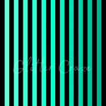 Black or white stripes in 12x12 prints various colors