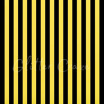 Black or white stripes in 12x12 prints various colors