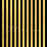 Black or white stripes in 12x12 prints various colors