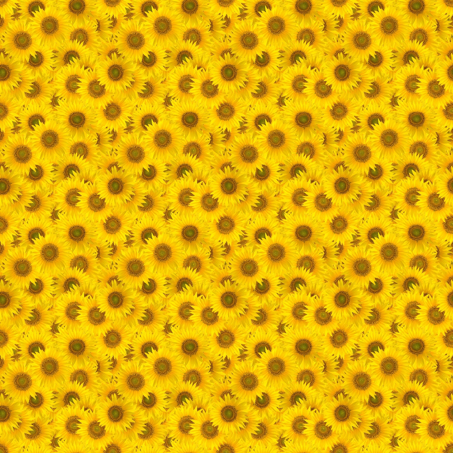 Sunflower Power - Adhesive Vinyl