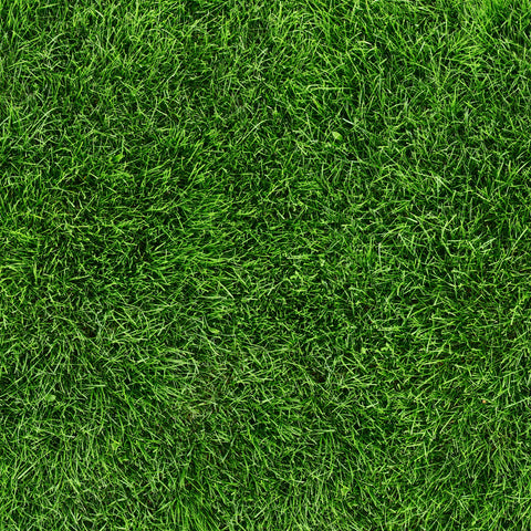 Grass - Adhesive Vinyl