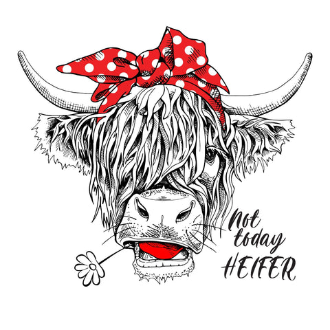 Not Today Heifer UV DTF Decal
