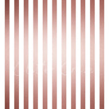 Black or white stripes in 12x12 prints various colors